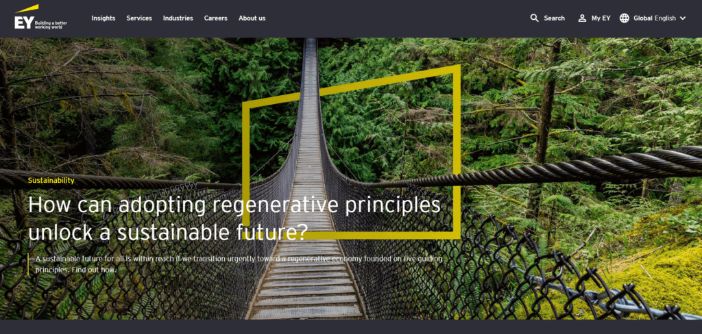 Ernst & Young website dashboard