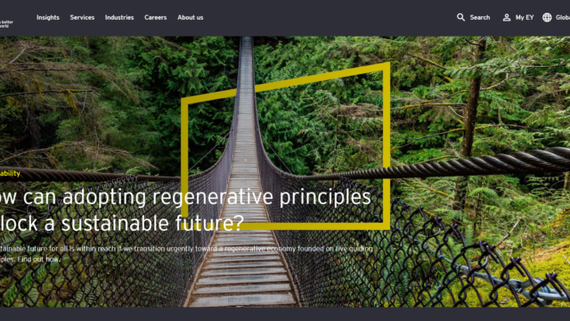 Ernst & Young website dashboard